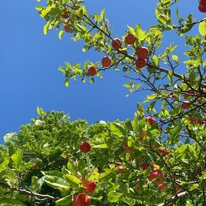 Meet your Posher, Eliana